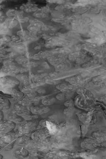 In The Bleak Midwinter Poster