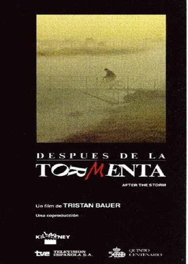 Después de la tormenta Poster