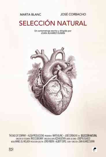 Selección natural Poster
