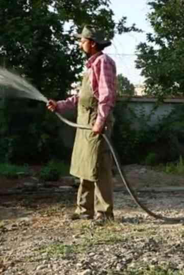 Venezia 70 - Future Reloaded, Abbas Kiarostami Poster