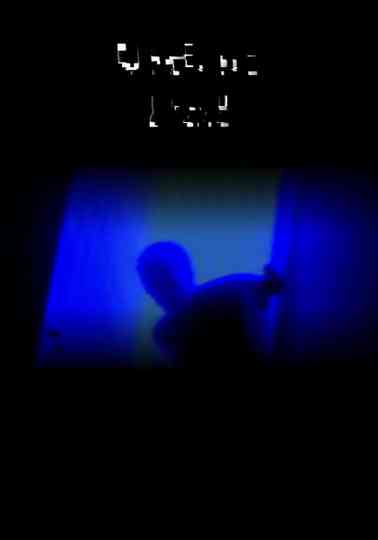 VIDEO PAL Poster