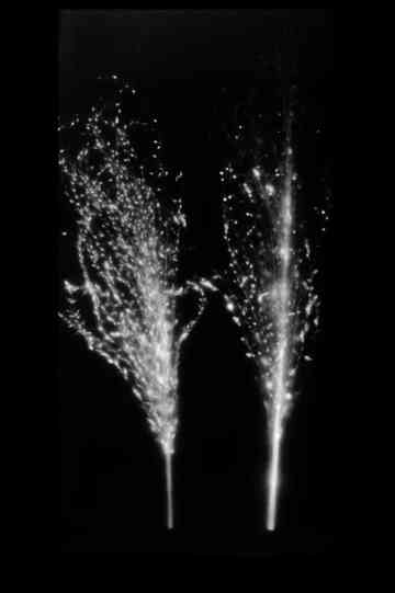 Fukushima, Autoradiography Poster