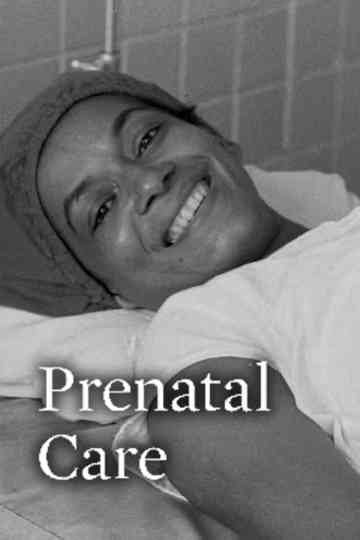 Prenatal Care Poster