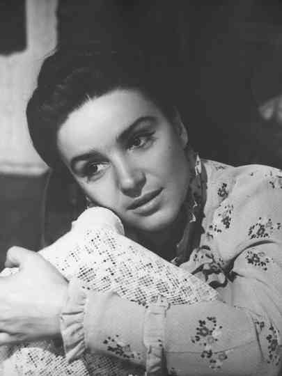 Life of Ermiles Poster