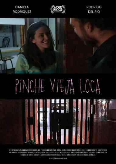 Pinche Vieja Loca Poster
