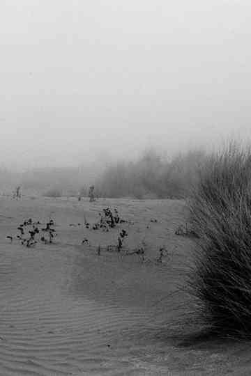 Sea Concrete Human — Malfunctions #1 Poster