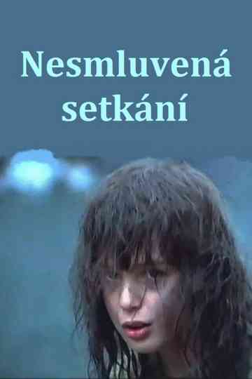 Unexpected Encounters Poster