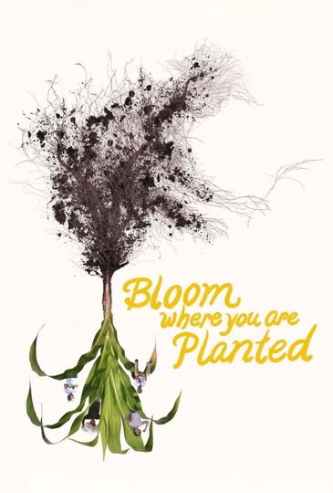 Bloom Where You Are Planted