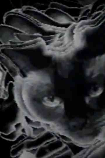 Touch of Touch Poster