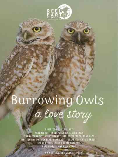 Burrowing Owls: A Love Story Poster