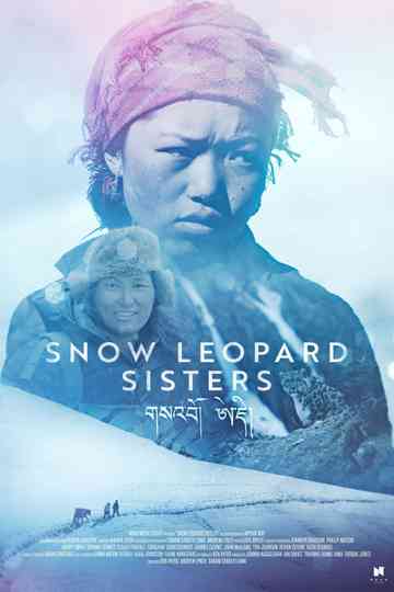 Snow Leopard Sisters Poster