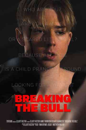 Breaking the Bull Poster