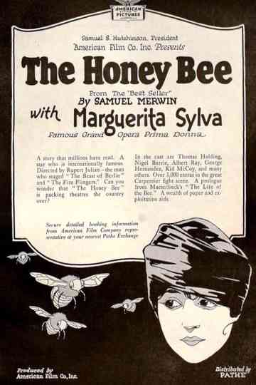 The Honey Bee Poster