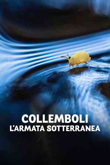 Collemboli - L'armata sotterranea poster
