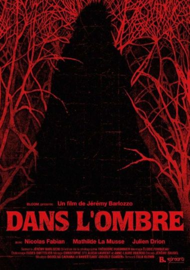 Dans l’ombre