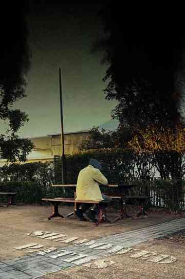 Shadowed Paths Poster