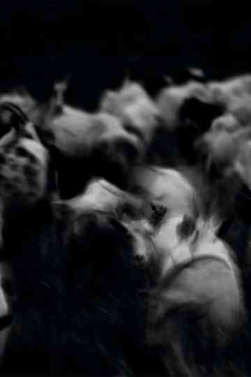 A shattered mountain Poster