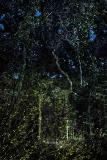 They witness time in longer intervalls Poster