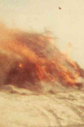 Scenes from an Island Poster