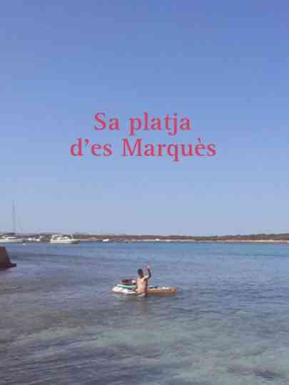 Sa platja d'es Marquès Poster