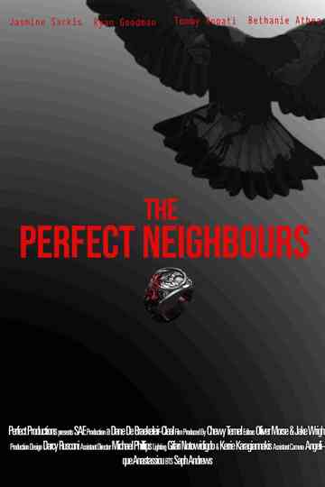 The Perfect Neighbours Poster