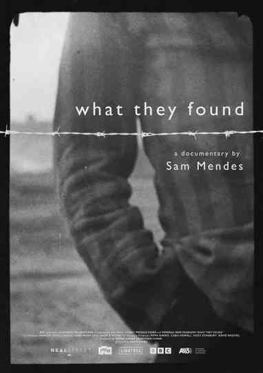 What They Found Poster