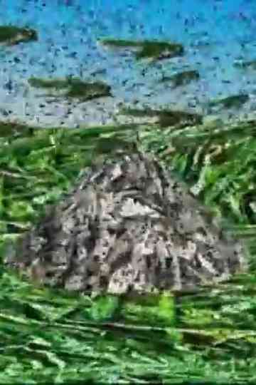 To Be Said, To Be Lived Poster