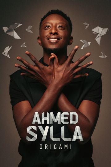 Ahmed Sylla : Origami