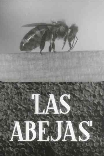 Las abejas Poster