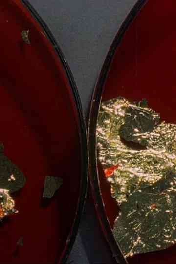 Approach/Withdraw Poster