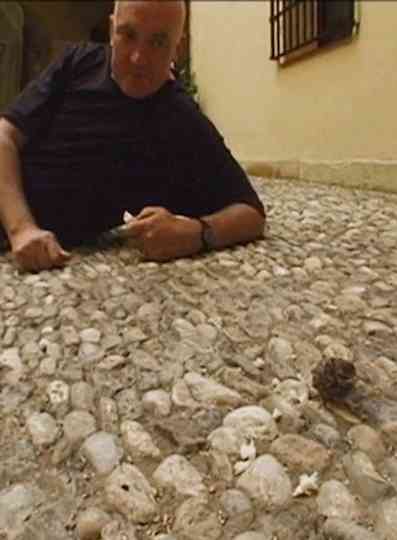 Scully in Malaga Poster