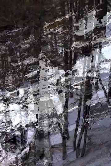 The Eight Alps Poster