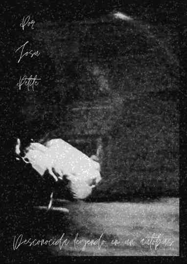 Desconocida Leyendo En Un Autobús Poster