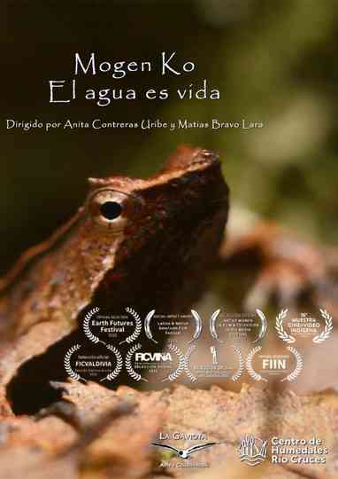 Water is Life Poster