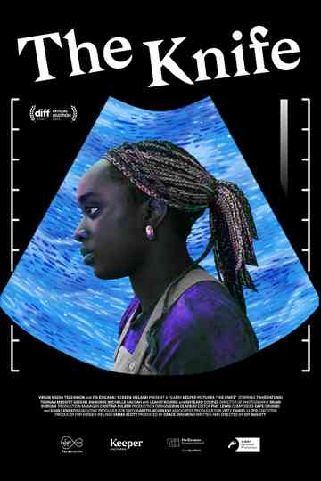 The Knife Poster