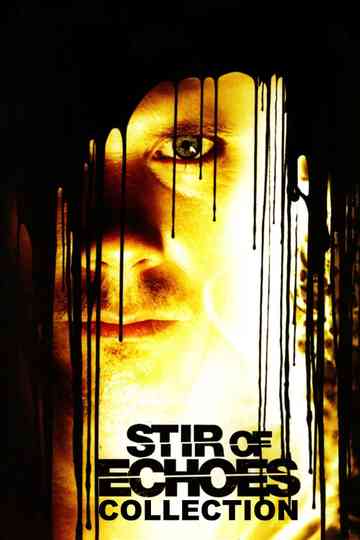Stir of Echoes Collection Poster