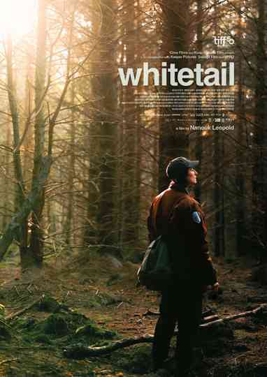 Whitetail Poster
