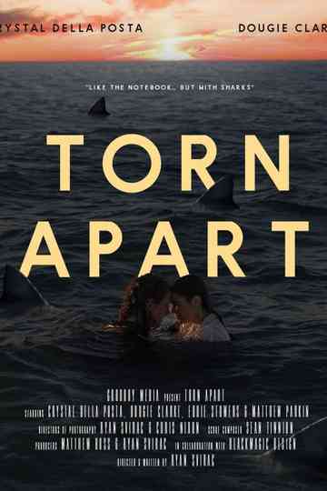 Torn Apart Poster