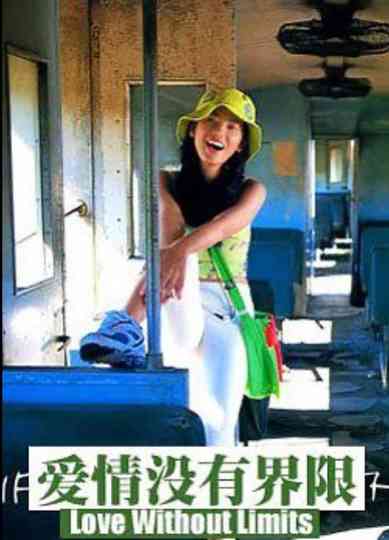 Love Without Limits Poster