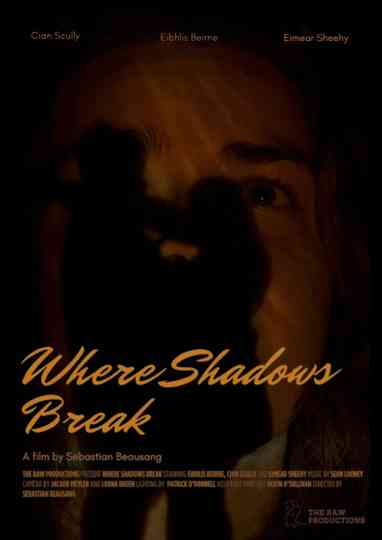 Where Shadows Break Poster