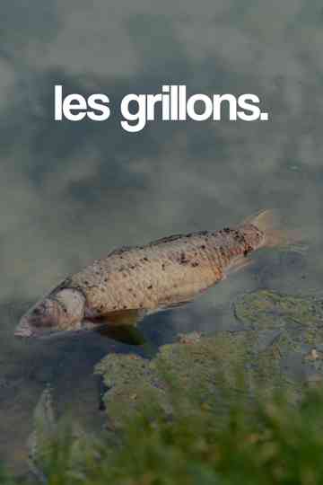 les grillons. Poster