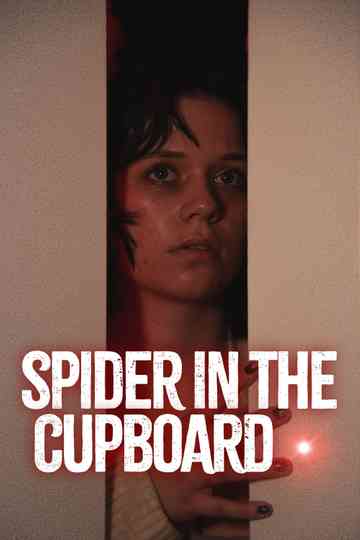 Spider in the Cupboard Poster