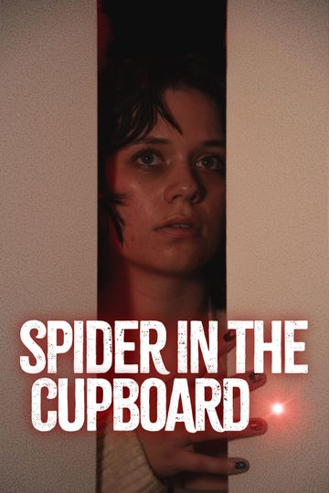 Spider in the Cupboard