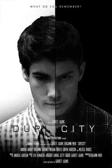Duplicity Poster