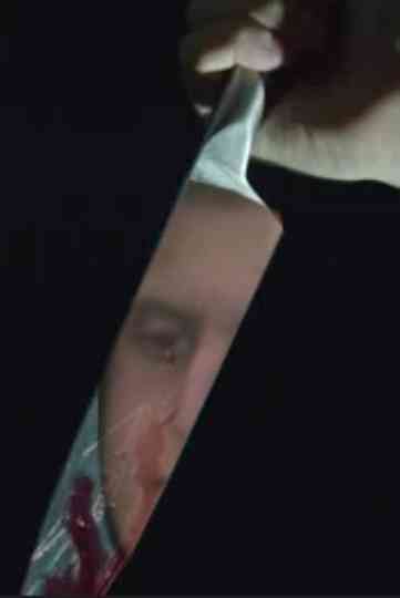 When Harry Met Harry 2: Time To Reflect Poster