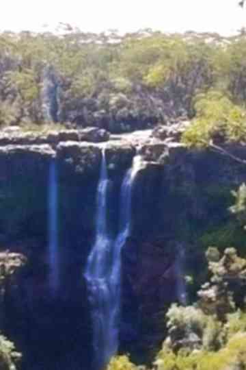 The Waterfalls Poster