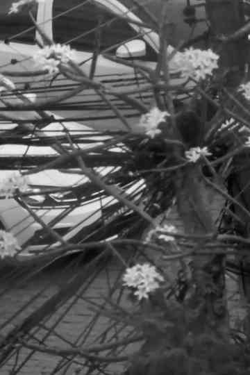 Só mais uma antes do Verme Eterno devorar Botafogo - Parte 2 Poster