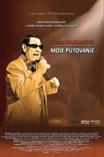 Saban Bajramovic - My Journey