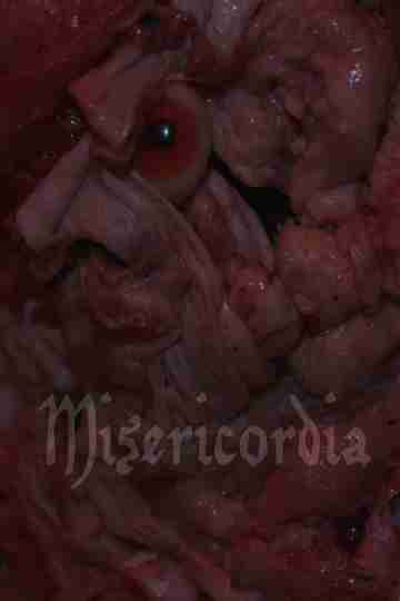 Misericordia Poster