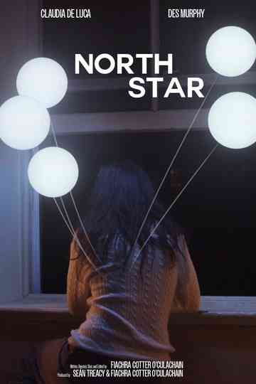 North Star Poster